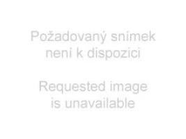 172801_869540026.jpg